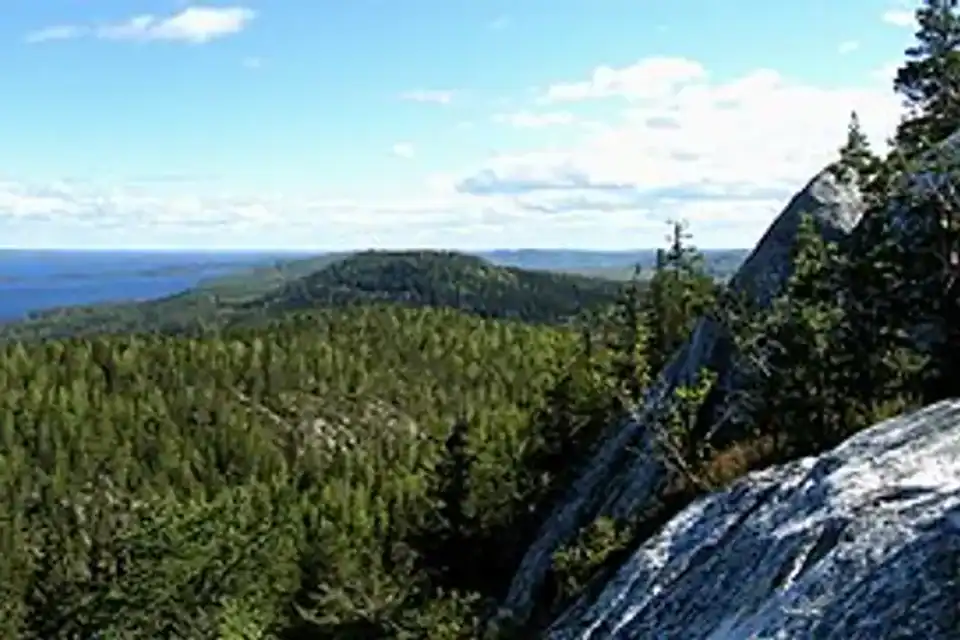 Koli y el lago Pielinen: el paisaje nacional del este finlandés