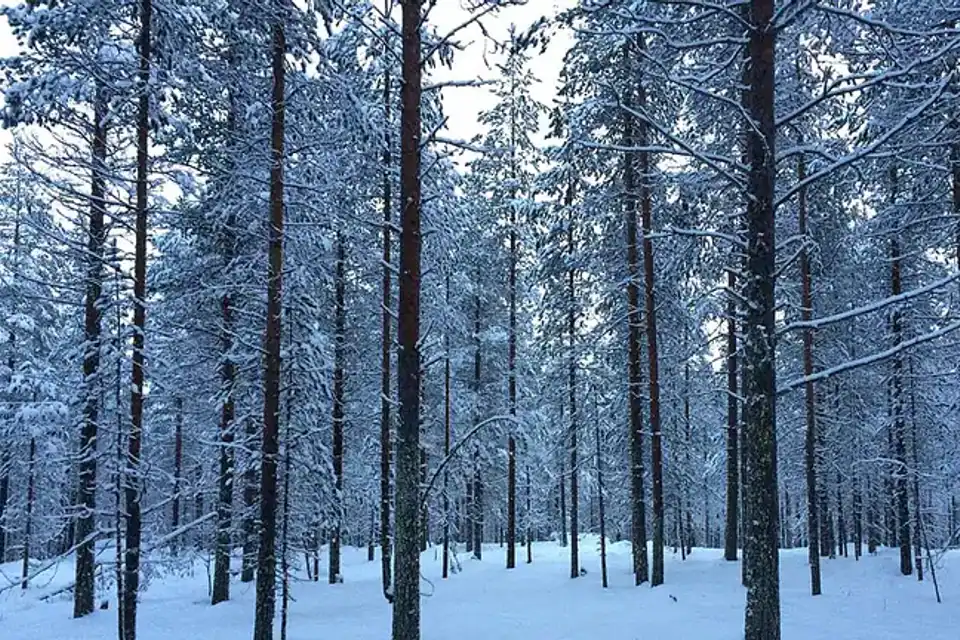 Finlandia con niños: lagos, nieve y parques según la estación