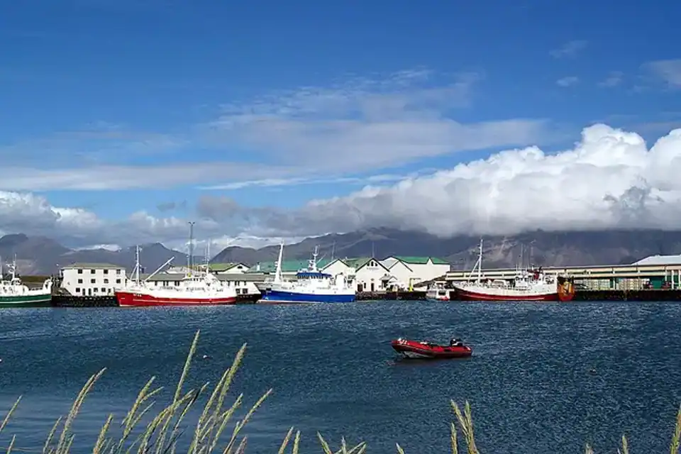 Höfn: cultura pesquera y paisajes del sureste islandés