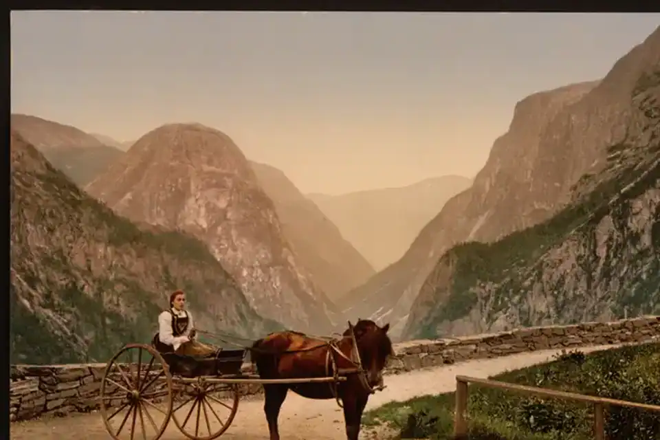Bayas y productos de montaña en la cocina noruega