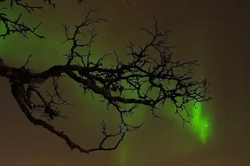 Cómo ver auroras boreales en Noruega de forma responsable