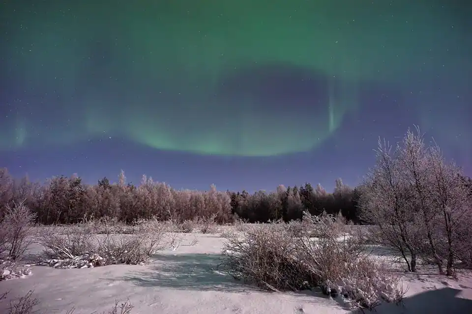 Laponia bajo las auroras: invierno premium
