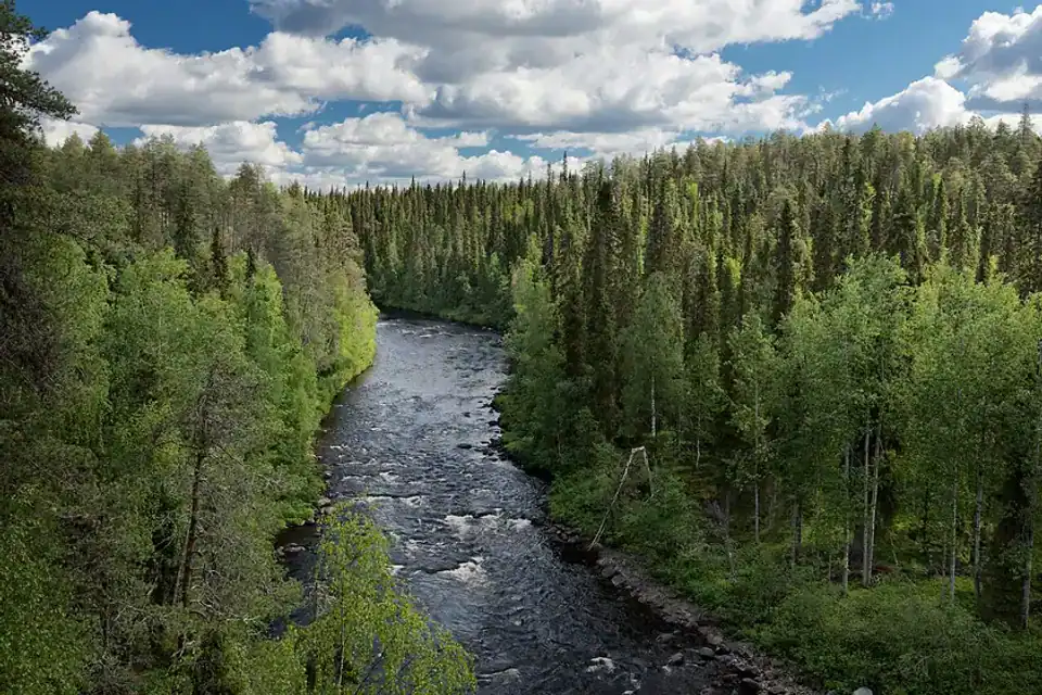 Oulanka y Koli: parques nacionales de Finlandia