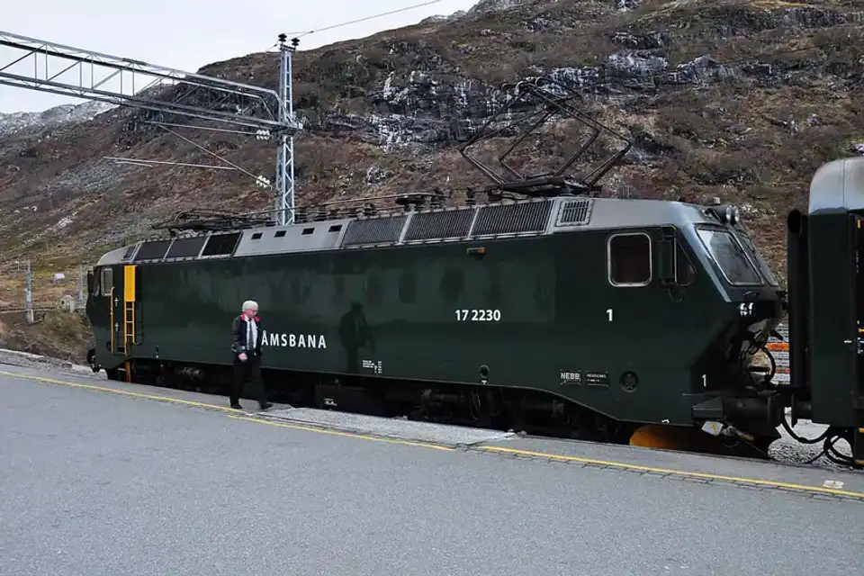 De Oslo a Bergen por Flåm